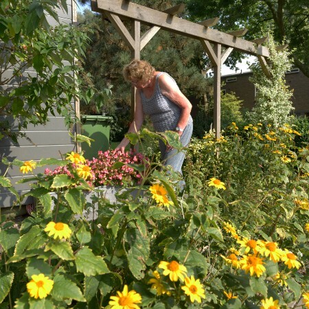 Op deze foto is een vrouw te zien die aan het werk is in haar tuin.